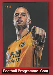 Wolves Wolverhampton v Manchester United 2019