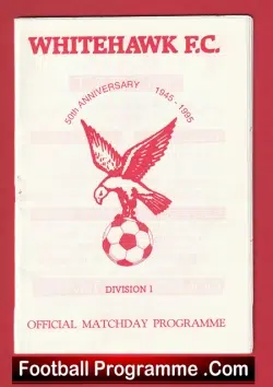 Whitehawk Ladies v Newcastle 1996 - Womens Football