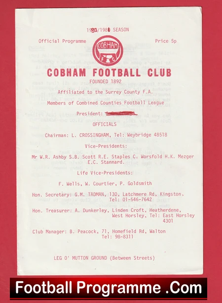 Cobham v Lion Sports 1980 - Image 2