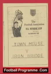 Town Mouse v Iron Bridge 1990s – FA Sunday Cup