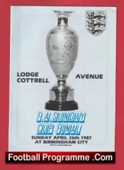 Lodge Cottrell v Avenuie 1987 – FA Sunday Cup Final