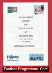 Sandy Sunday v Gossoms End 2009 – FA Sunday Cup