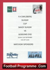 Sandy Sunday v Gossoms End 2009 – FA Sunday Cup