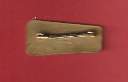 Gold-colored metal latch on a red surface, used to secure a door or panel.
