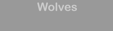 Wolves Wolverhampton FC