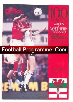 Wales v Northern Ireland 1984