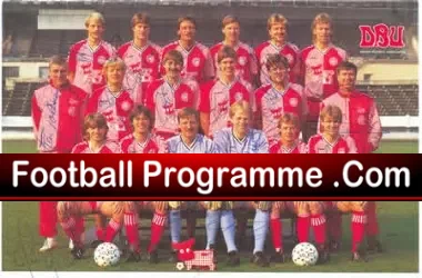 Denmark World Cup Picture Autographed by Danish Team - football memorabilia
