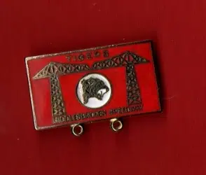 Middlesbrough Speedway Badge