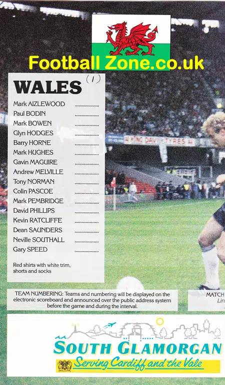 Wales v Brazil 1991