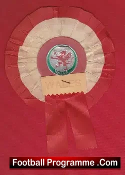 Wales Football Team Old Football Rosette 1960s