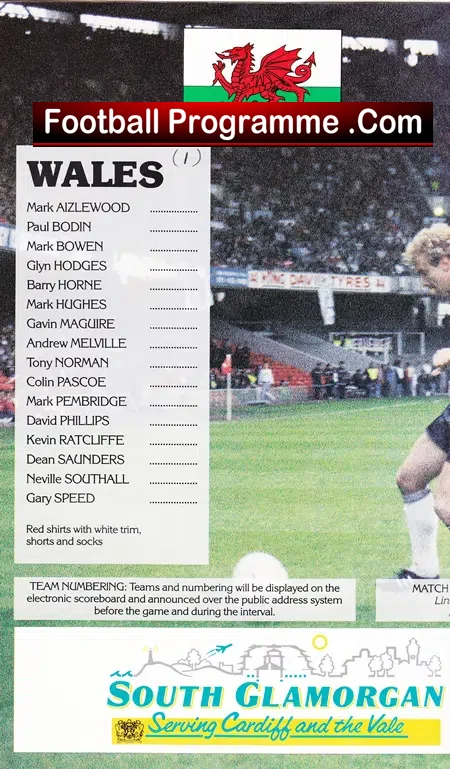 Wales v Brazil 1991