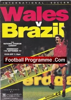 Wales v Brazil 1991