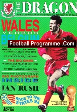 Wales v Belgium 1993