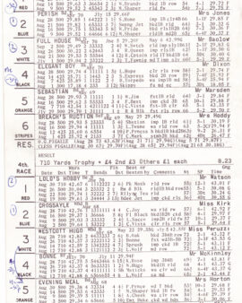 Yarmouth Greyhound Racing Programme 1972