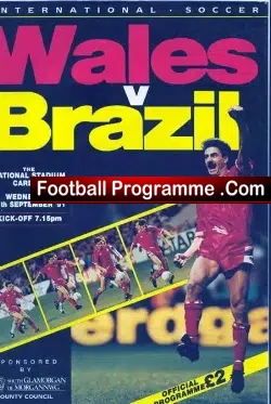Wales v Brazil 1991