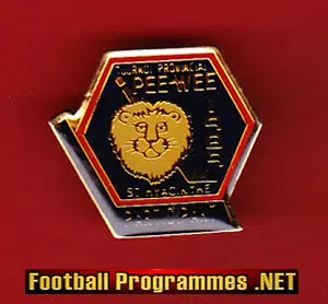 Ice Hockey Badge – Pee Wee Participant 1989 – USA America