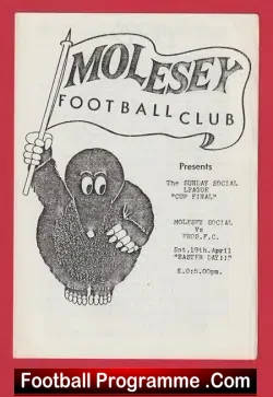 Molesey Social v Eros 1987 – Sunday Social League Cup Final