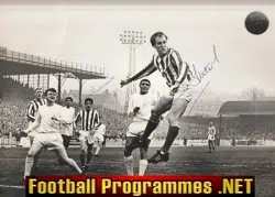 Stoke City Dennis Viollet + Maurice Setters + Palmer SIGNED