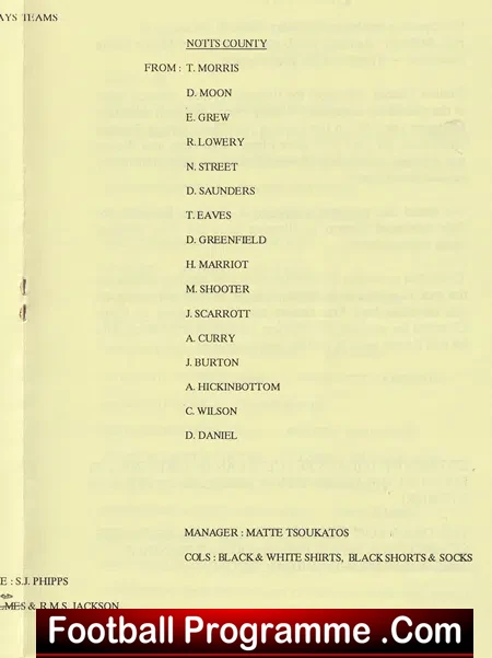 Newbury Ladies v Notts County 1994 - Womens Football